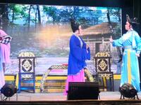 艺良歌仔戏剧团《夫妻双挂帅》选段下载