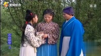 庐剧《苦命娘亲》2总六集下载