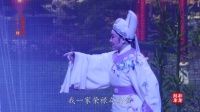 越剧《真假驸马》全剧 全部字幕 嵊州越艺越