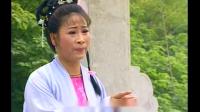 庐剧《麻疯女》3总六集下载