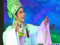 越剧《梁祝》春燕邻子于菲尼的世界