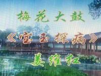 梅花大鼓《宝玉探病》下载
