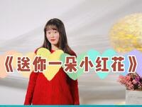 幼儿手势舞《送你一朵小红花》下载