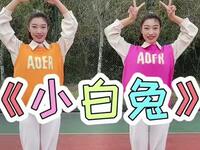 幼儿舞蹈《小白兔》完整版下载