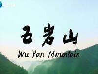 豫剧电影《五岩山》全场戏下载