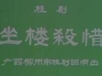 桂剧《坐楼杀惜》广西柳州市桂剧团演出下载