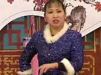 河南坠子《王老八卖瓜》全集下载