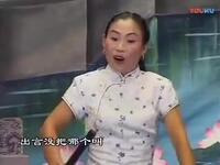 河南坠子《皇儿泪洒南清宫》上集