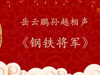 钢铁将军下载