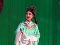 山东茂腔《赵美蓉观灯》下载