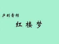 庐剧《红楼梦》皖西庐剧院