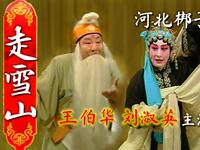 河北梆子《走雪山》全剧下载