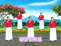 DJ版广场舞《感情在降温》正反面演示