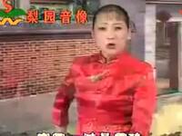 河南坠子《后妈无情妹有情》全集下载