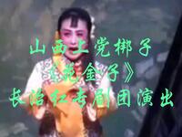 山西上党梆子《花金子》长治红专剧团演出下载