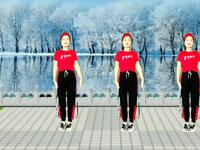 广场舞《学不会你的无情》