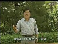 河南坠子《小八义》贾氏女梳头