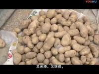 莲花落《新花子要饭》下载