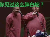 白长虫传奇孙越越下载