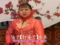 河南坠子《打婆子》全集下载