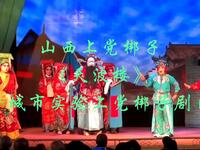 山西上党梆子《天波楼》晋城市实验上党梆子剧团下载