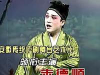 庐剧《王华买父》下载