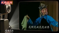 黄梅戏 《严凤英》选段《小辞店》演唱 马兰下载