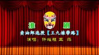 淮剧《卖油郎》 王九娘带路前边走 许耀祖 王萍合演下载