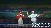 二人转正戏 《大西厢》全集 主演 韩子平 小