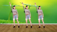 玫香广场舞《幸福的爱你一辈子》32步简单易学下载