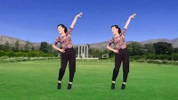 玫香广场舞《爱情醉醉醉》下载