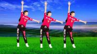 玫香广场舞《小花》简单韵律舞步轻松学会下载