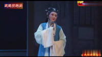 经典豫剧《单娘》上集下载