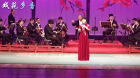 河北梆子《龙江颂》望北京更使我增添力量 杨秀琴 高亢激昂梆子腔