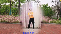 云裳广场舞《伴君谣》沚水老师原创时尚流行舞下载