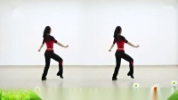杨丽萍广场舞《夜猫》