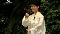 陈氏太极拳（基础22式拳）马畅
