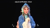 锡剧经典名家版《玉蜻蜓》第四场 探病得子 加长版 主演 张惠芳 彭伊娜 强桂珍 万红珍下载