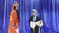 内黄大平调《登殿》回府一折 张彦彦 牛常平演唱