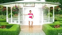 玫香广场舞《小钱包》 正背面附分解下载
