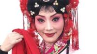 山东莱芜梆子戏曲片《借闺女》