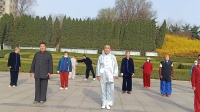 陈式老架一路七十四式太极拳