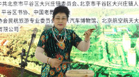 京东大鼓《让座 》节选下载