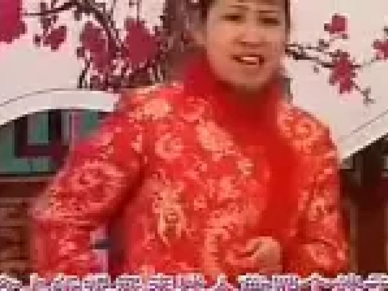 河南坠子《三打四劝》全场下载