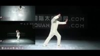 《杨氏太极拳85式》赵幼斌分解教学