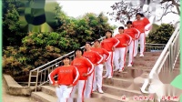广场舞《有没有一种思念永不疲惫》附正反教