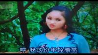 云南山歌剧《小白菜遭晚娘》02集下载