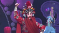 婺剧《辛安驿》片断下载