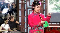 安徽庐剧《卖花姑娘1 》我在家是丫头王 想