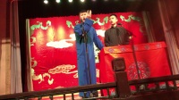 树没叶儿下载
